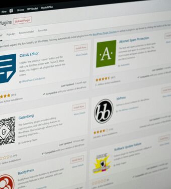 WordPress website creation