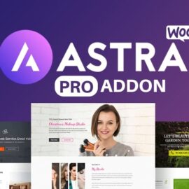 Astra Pro Addon v4.11.13 – Perfect Theme For Any Website